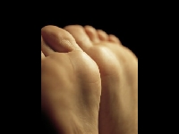 /REG_mb/userfiles/image/pedicure.jpg